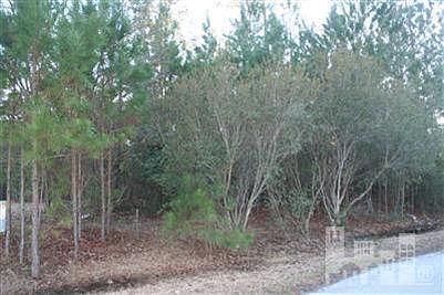 1st image of 0 Deepwoods Ridge Drive LOT 35