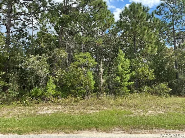 29 Oak Village Blvd S, Homosassa, FL 34446