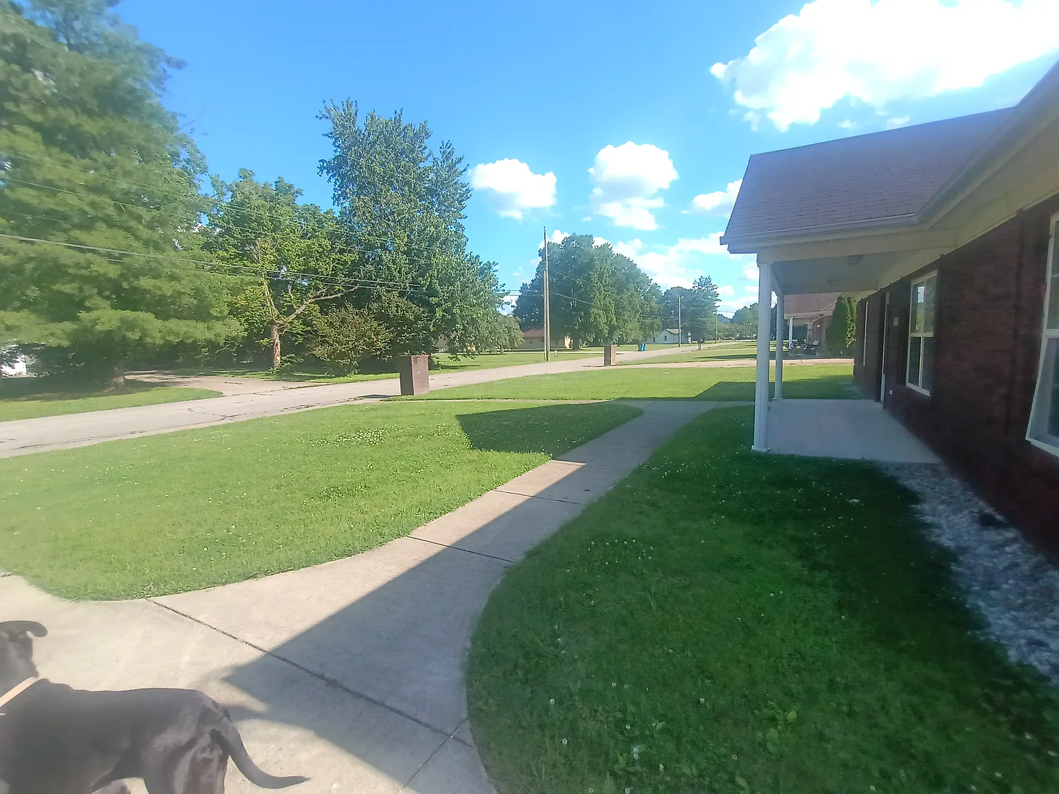 3 bed, 1320 sqft, $1,800 — Photo 2