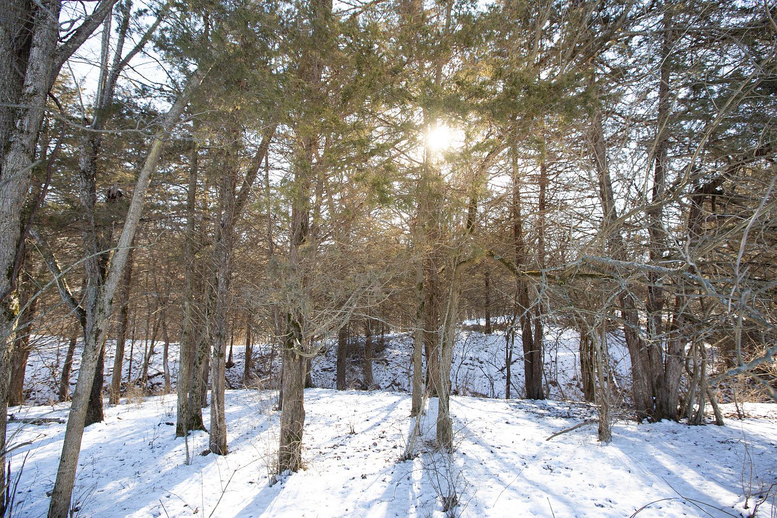 1102 N 1929th Rd, Tonica, IL 61370 Zillow