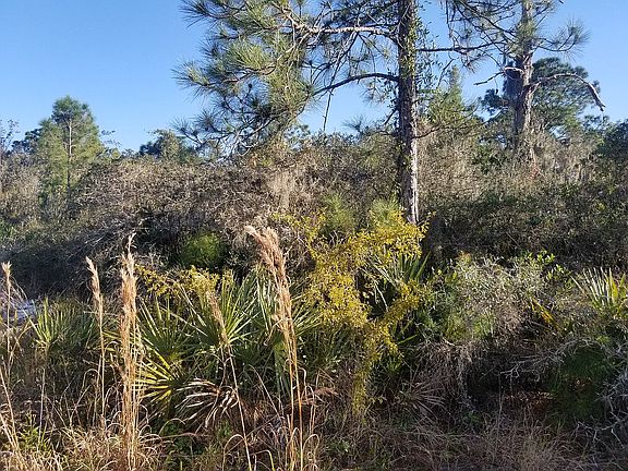 4th image of 3425 Alachua Ave