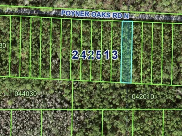 Poyner Oaks Rd N, Polk City, FL 33868