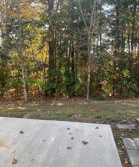911 Plexor Ln — Photo 8