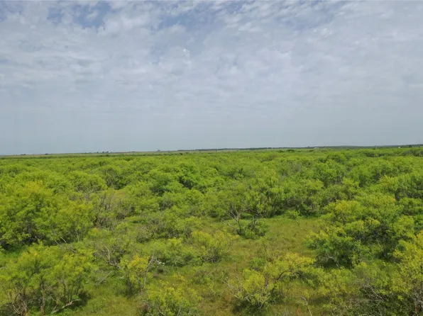 Fm 2321 #1, Bellevue, TX 76228
