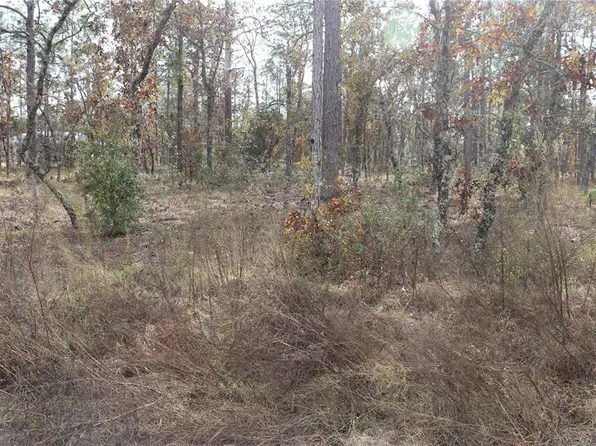 0 NW Geranium Ave Lot 22, Dunnellon, FL 34431