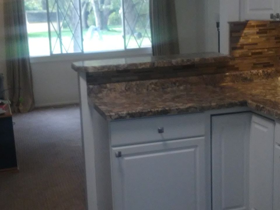 Kitchen / Family Room