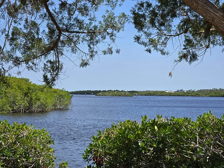 The beautiful Myakka River where the Tarzan Movies were shot runs right into the Marina for fabulous boating views.