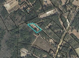 507 Sisters Ferry Rd, Clyo, GA 31303