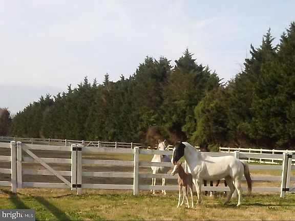 2nd image of 14135 Cooley Rd