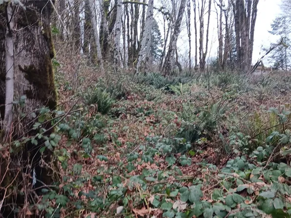 0 W County Line Road, McCleary, WA 98557