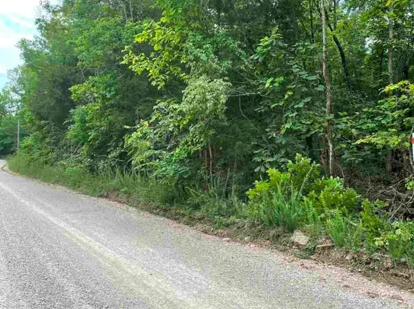 220 Mc #8125, Flippin, AR 72634