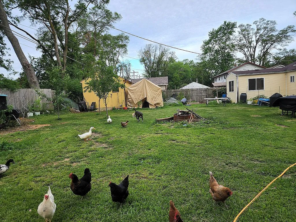 Property photo 4