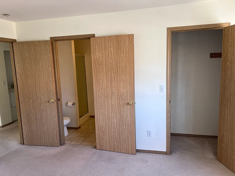 Bathroom, closet in master bedroom