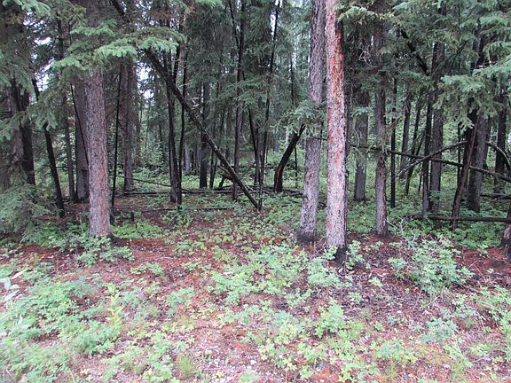 4th image of Lot 7  Bentwood Ave