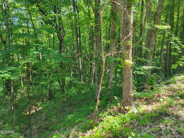 20 Sunset Dr Lot 20, Sevierville, TN 37876