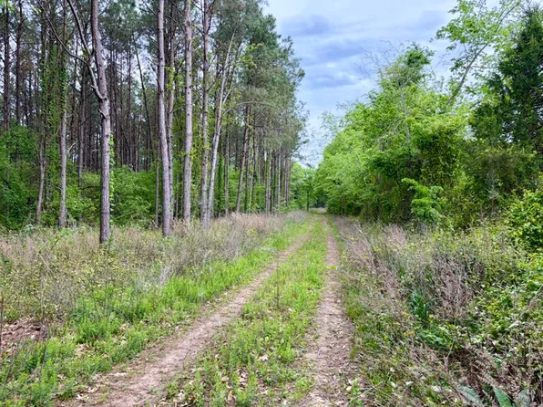 (undisclosed Address), Dardanelle, AR 72834