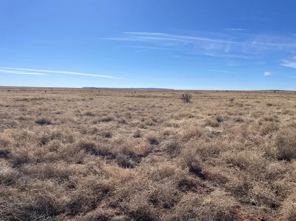 Old Willard Rd, Mountainair, NM 87036