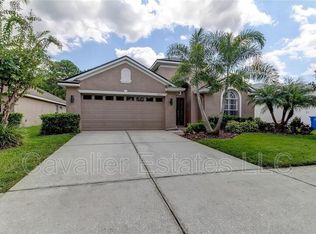 18619 Le Dauphine Pl, Lutz, FL 33558