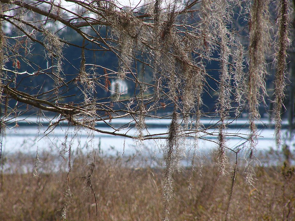 1st image of 9464 E Gobbler Dr