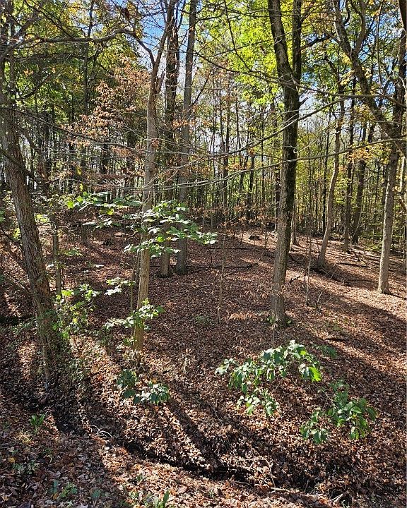 2nd image of 0 Ridge Rd