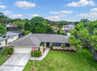 11115 Salt Tree Dr, Port Richey, FL 34668