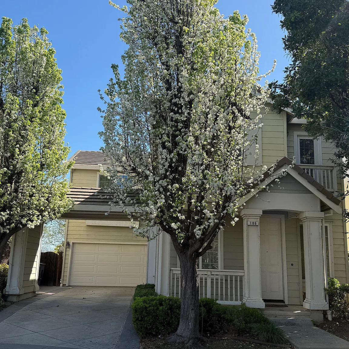 186 Winter Ln photo 1