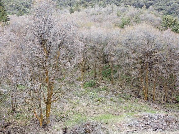 5th image of McPherson Canyon Rd