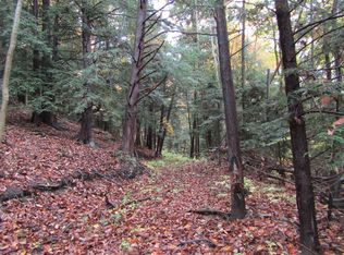 Gulf Rd, Coldspring, NY 14772