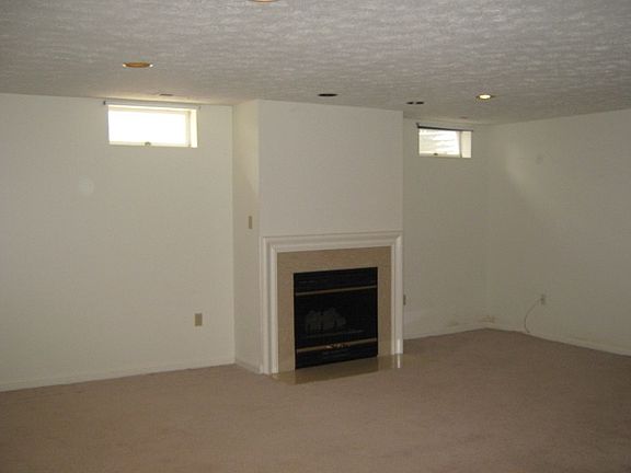 Finished Basement with 2nd fireplace