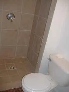1 bed, 450 sqft, $750 — Photo 2