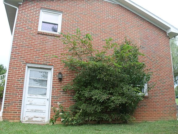 5th image of 809 McCorkle Dr