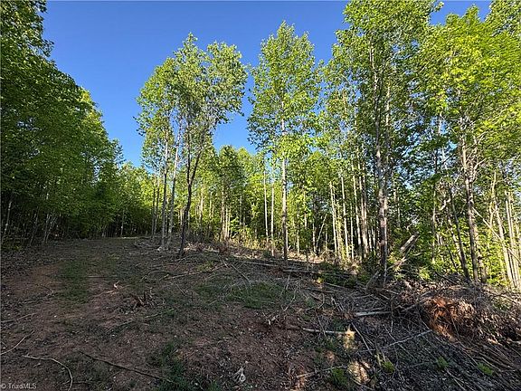 5th image of TRACT 3 River Road Liberty Grove Rd