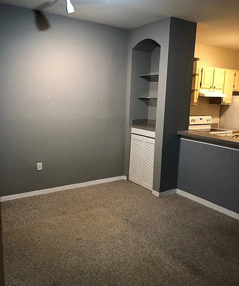 1175 Lake Shadow Cir #4207 — Photo 11