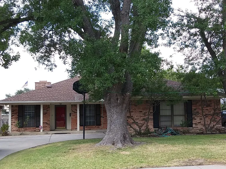 Front of home, driveway, large tree.