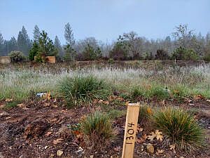 1st image of 1304 Green Valley Dr