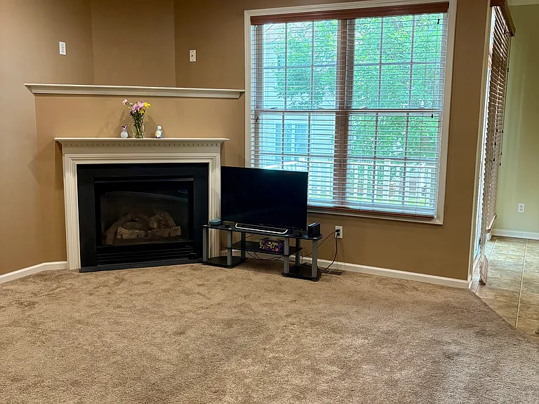 249 Levingberg Ln — Photo 11