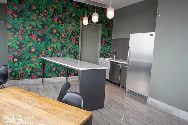 Rented by Platinum Properties | media 16