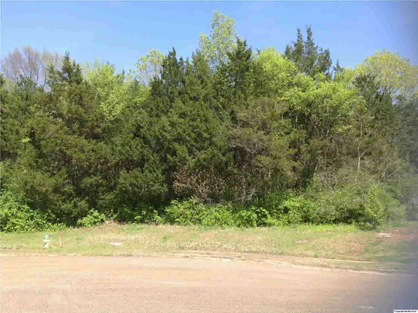 6601 Amberlee Ln NW, Huntsville, AL 35810