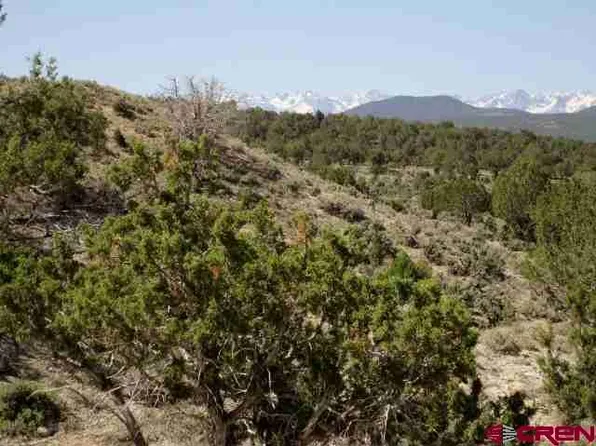 Tbd Buckhorn Rd, Montrose, CO 81403