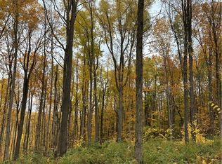 0 Gooseneck Rd #20, Delevan, NY 14042