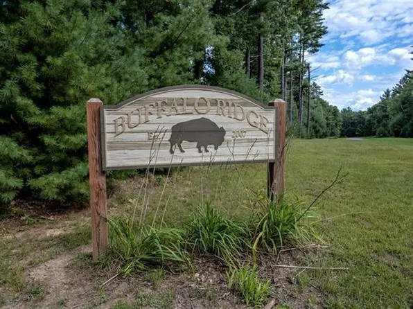 W1558 Buffalo Trail #15, Lyndon Station, WI 53944