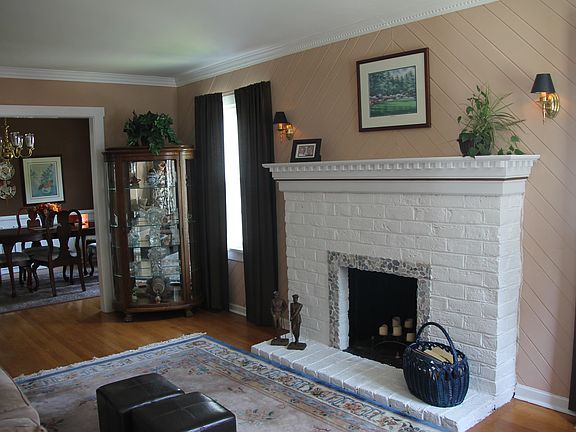Wood Burning Fire Place