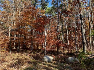 Off Old Goshen Road, Center Conway, NH, 03813