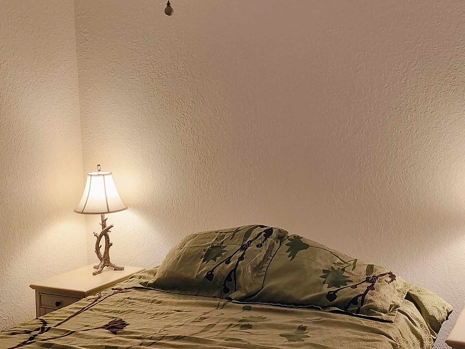 1 bed, 1070 sqft, $850 — Photo 4