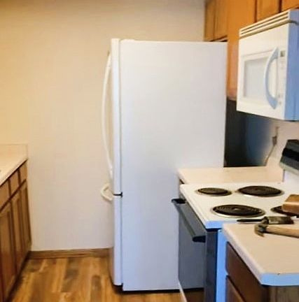 Shaker-style Cabinets