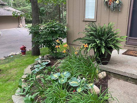 Front yard