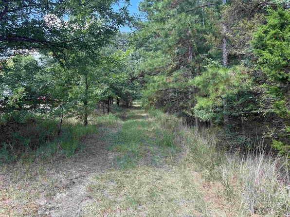 0 Sain Rd, Saulsbury, TN 38067