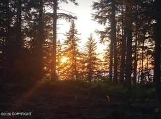 L29-B7 Kashevarof Rd, Seldovia, AK 99663