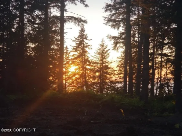 L29-B7 Kashevarof Rd, Seldovia, AK 99663