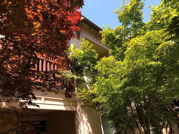 3rd image of 1084 Doheny Ter #33